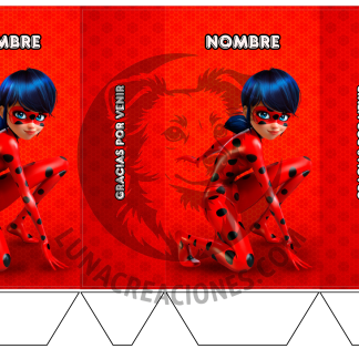 Plantilla Bolsita Ladybug